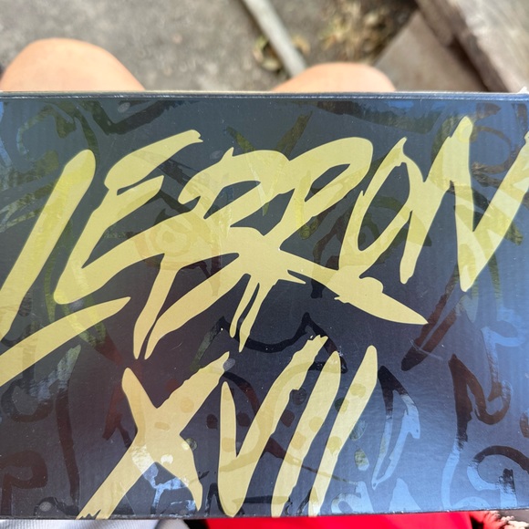 LEBRIN XVII DUNKED (TD) size 9C - Picture 8 of 8